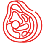 Valorisation de la carcasse